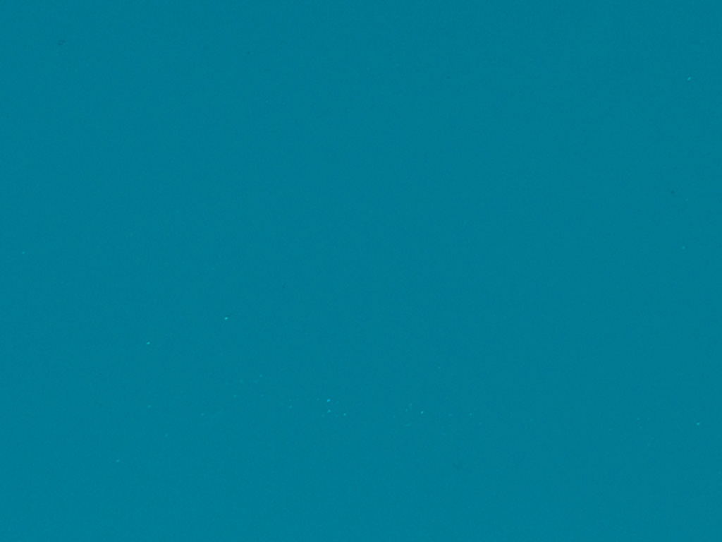 RAL_5021.jpg