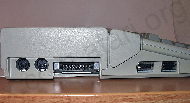 falcon030_2.jpg