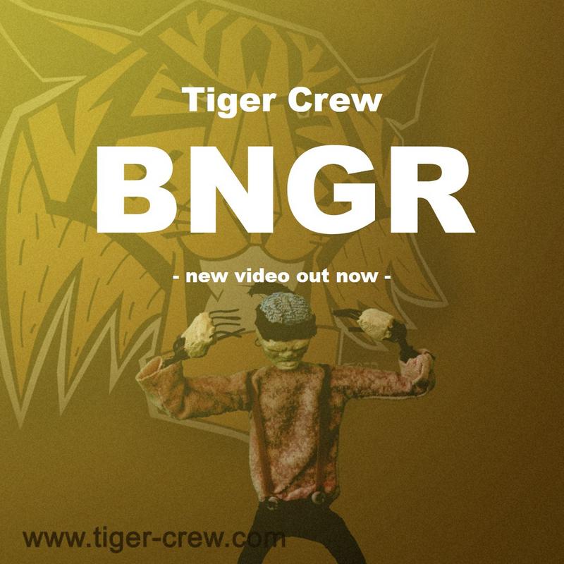 BNGR_cover.jpg