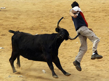 bull-run1.jpg