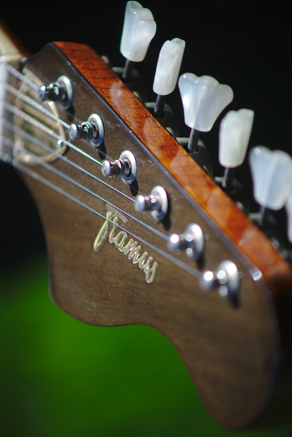 framus5.jpg