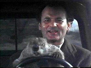 groundhog_day.jpg