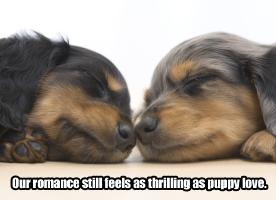 PuppyLove.jpg