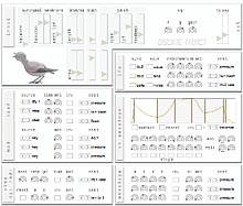 oscine_tract.jpg