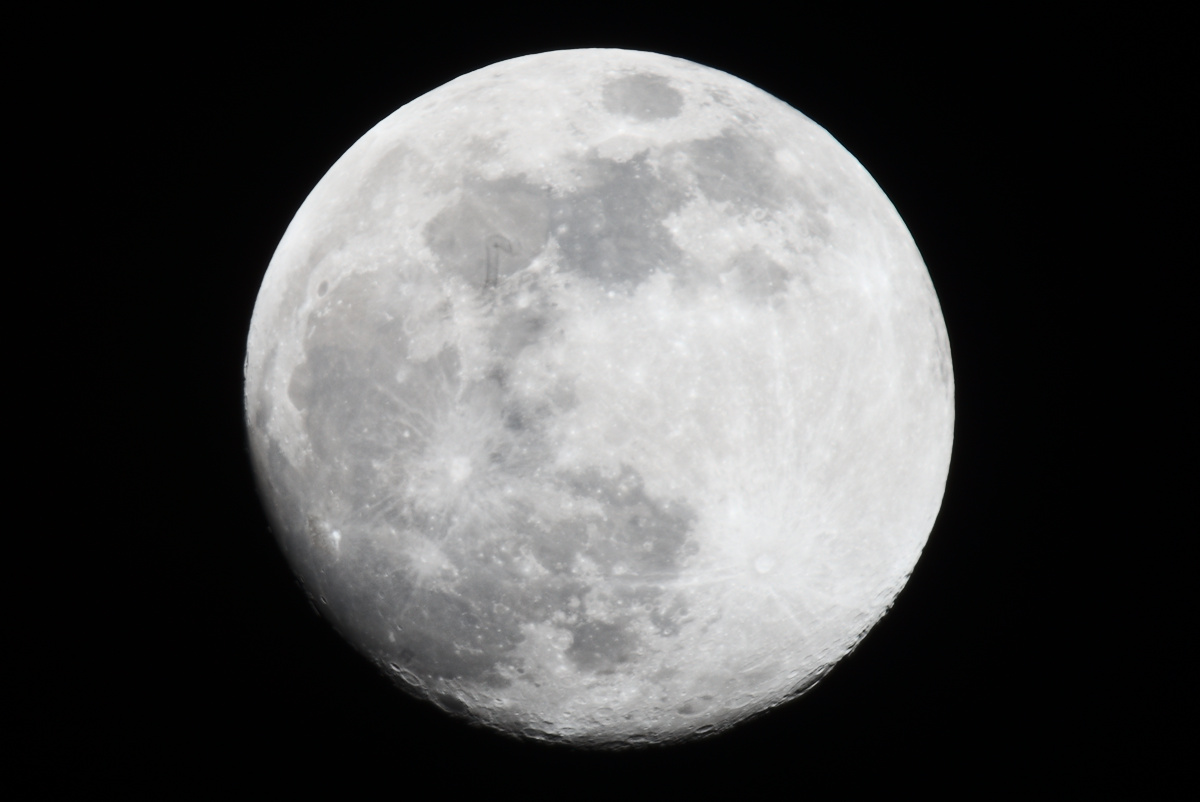 mond1200.jpg