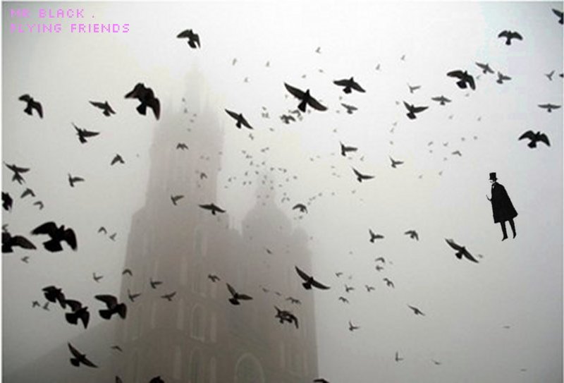 flying-friends1.jpg