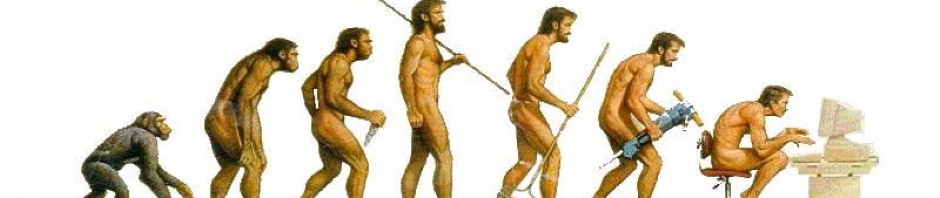 cropped-evolution-white.jpg