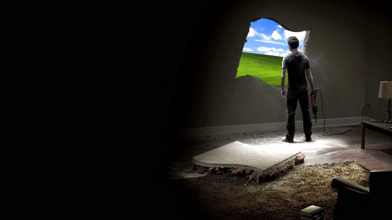 funny-window-pictures-768x432.jpg