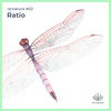 renatura.bandcamp.com