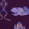 renatura.bandcamp.com