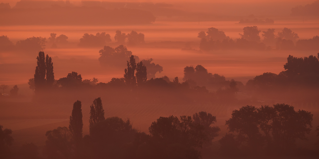 20160924-mettenheim-192b.jpg