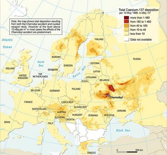 TORCH%20Grafik%201.jpg