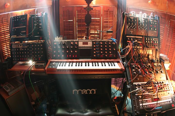 mymoog.jpg