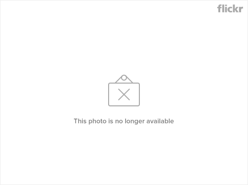 275359725_155c8d8e73.jpg