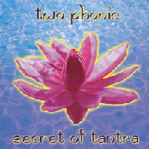 secretoftantra.gif