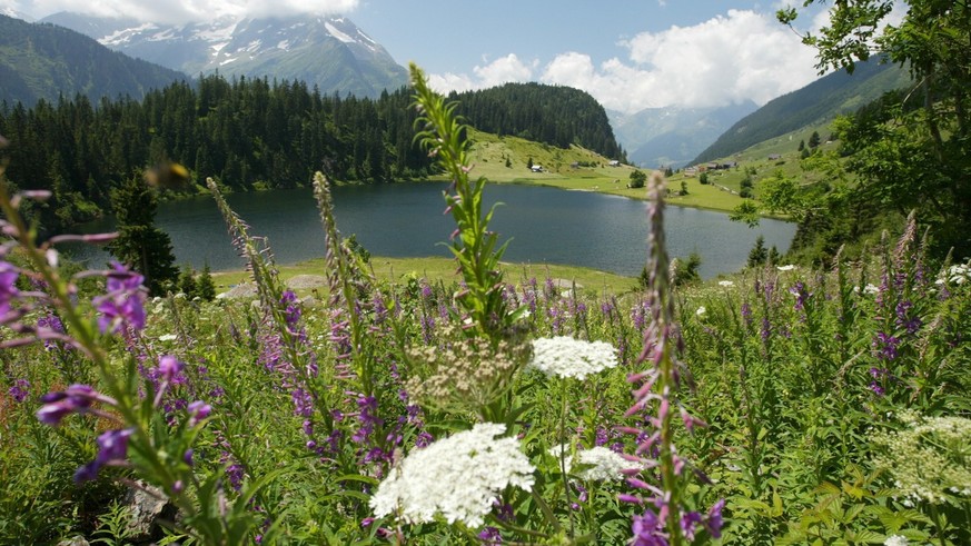 www.watson.ch