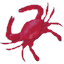 www.redcrab-software.com