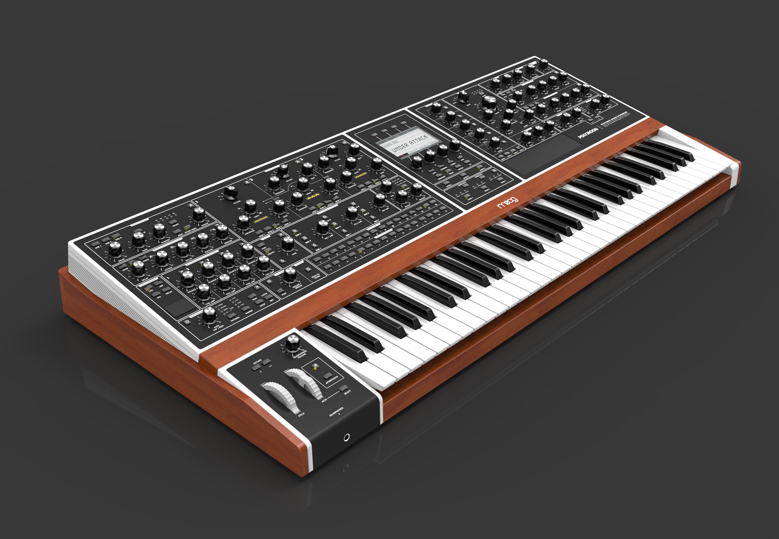 moog-poly_007-428.jpg