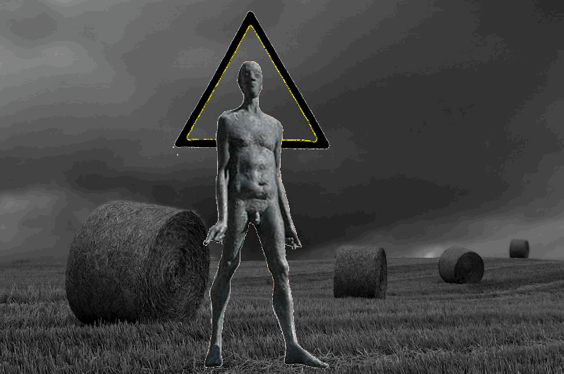 droner-the-grain.gif