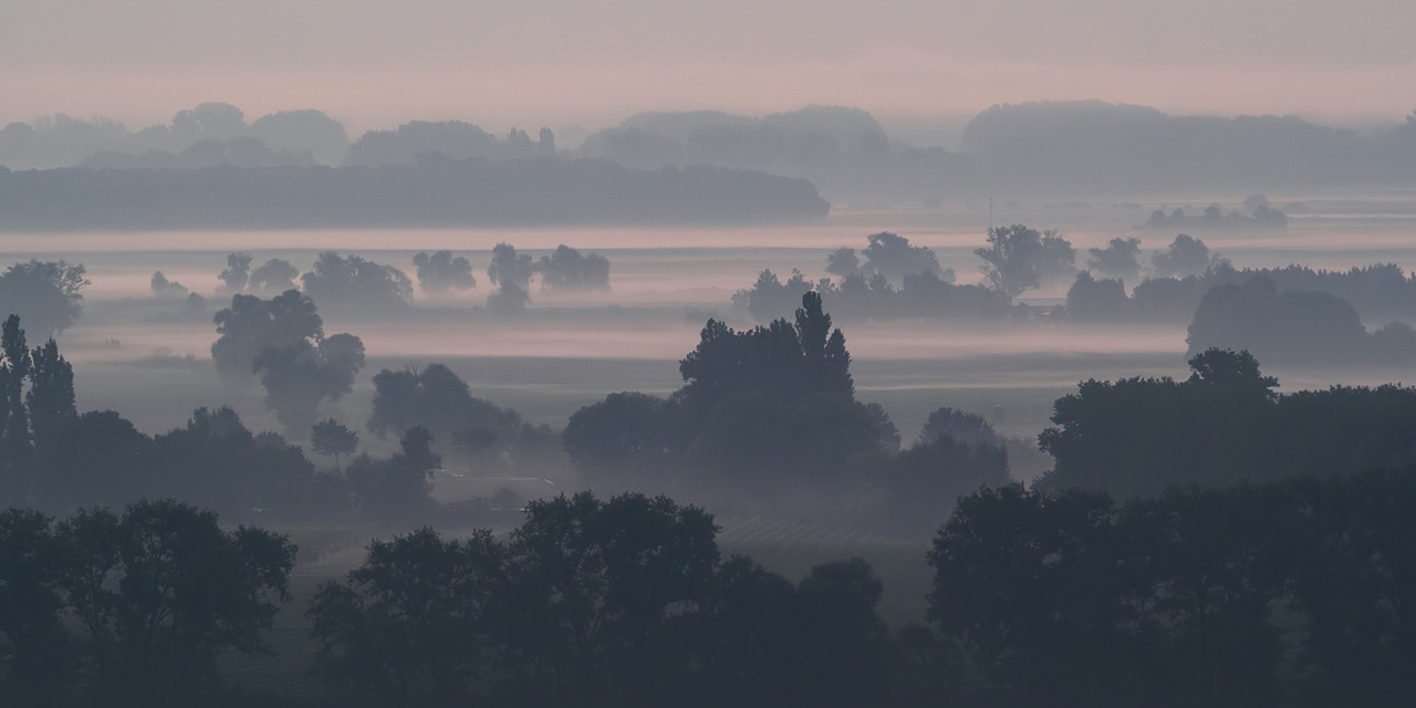 20160924-mettenheim-114c.jpg