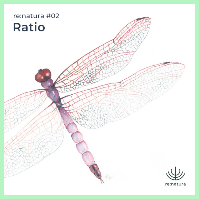 renatura.bandcamp.com