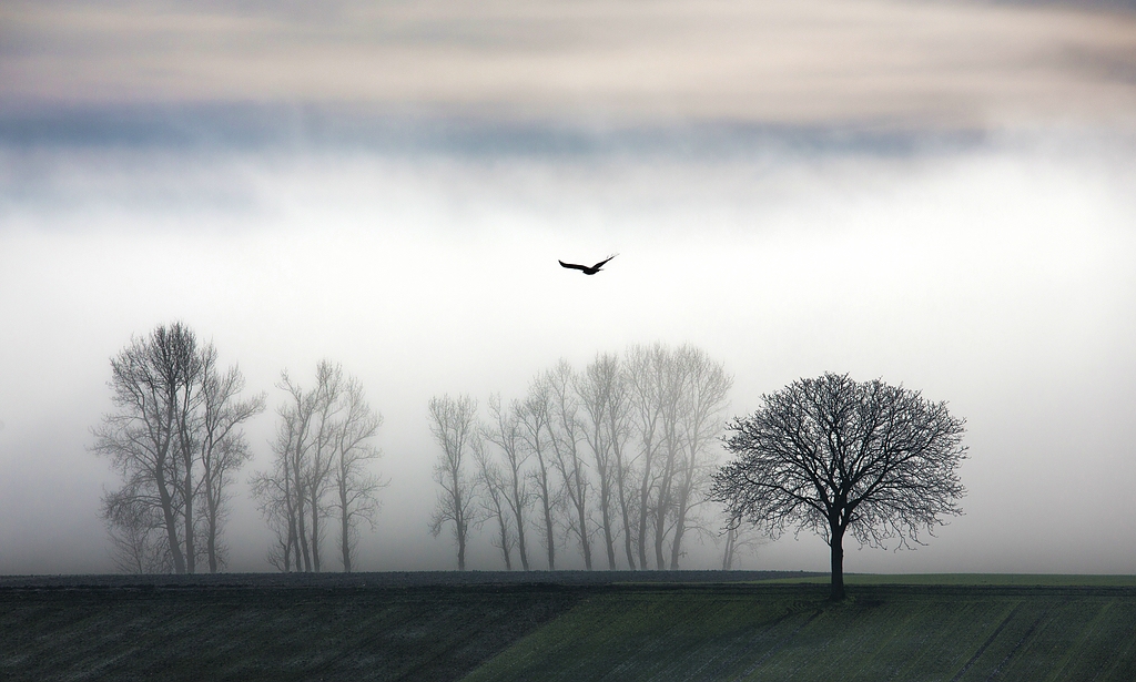 klhochnebel-29b.jpg