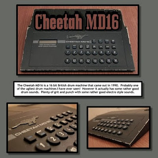 cheetah-md16.jpg