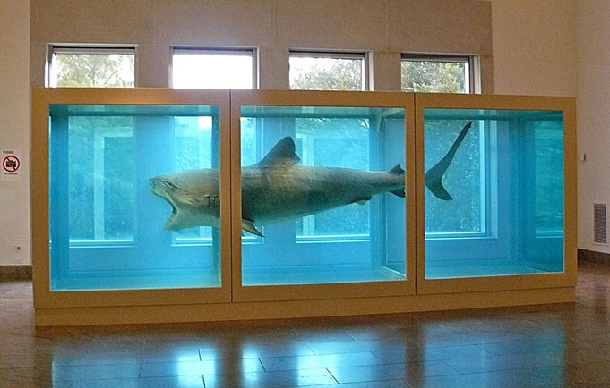 damien-hirst-shark-meaning.jpg
