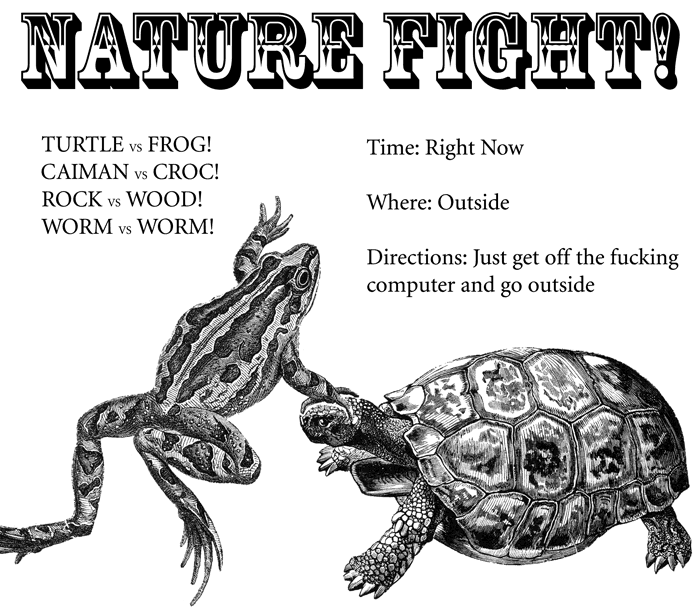 nature-fight.gif