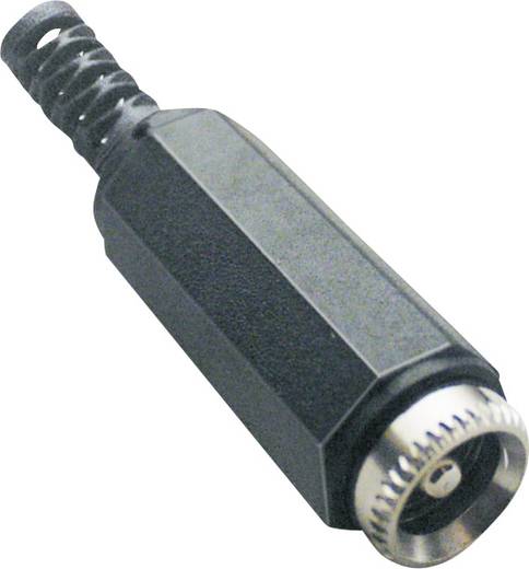 niedervolt-steckverbinder-buchse-gerade-55-mm-21-mm-bkl-electronic-072208-1-st.jpg