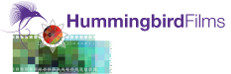 hummingbirdfilms.com