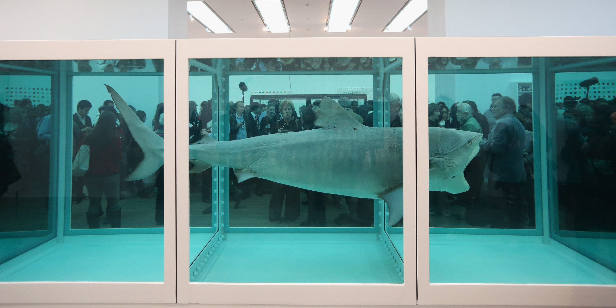 o-DAMIEN-HIRST-THE-PHYSICAL-IMPOSSIBILITY-facebook.jpg