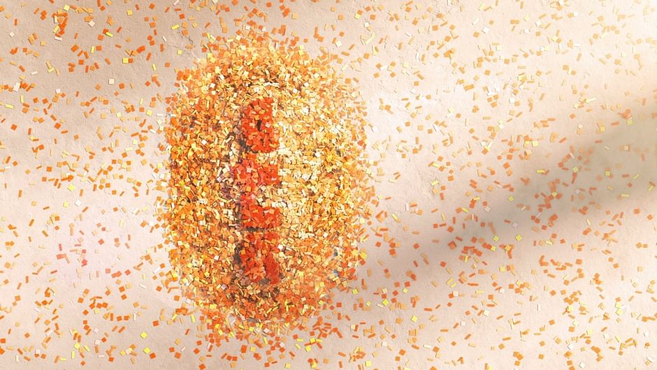 Alle Videos Mit Untertiteln Sendungen A Z Video Mediathek Wdr