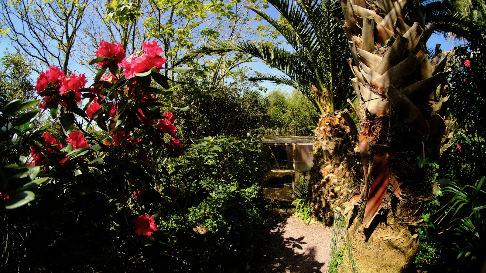 TonKlangLichter_JardinDeVaere_Plougonvelin-42.jpeg