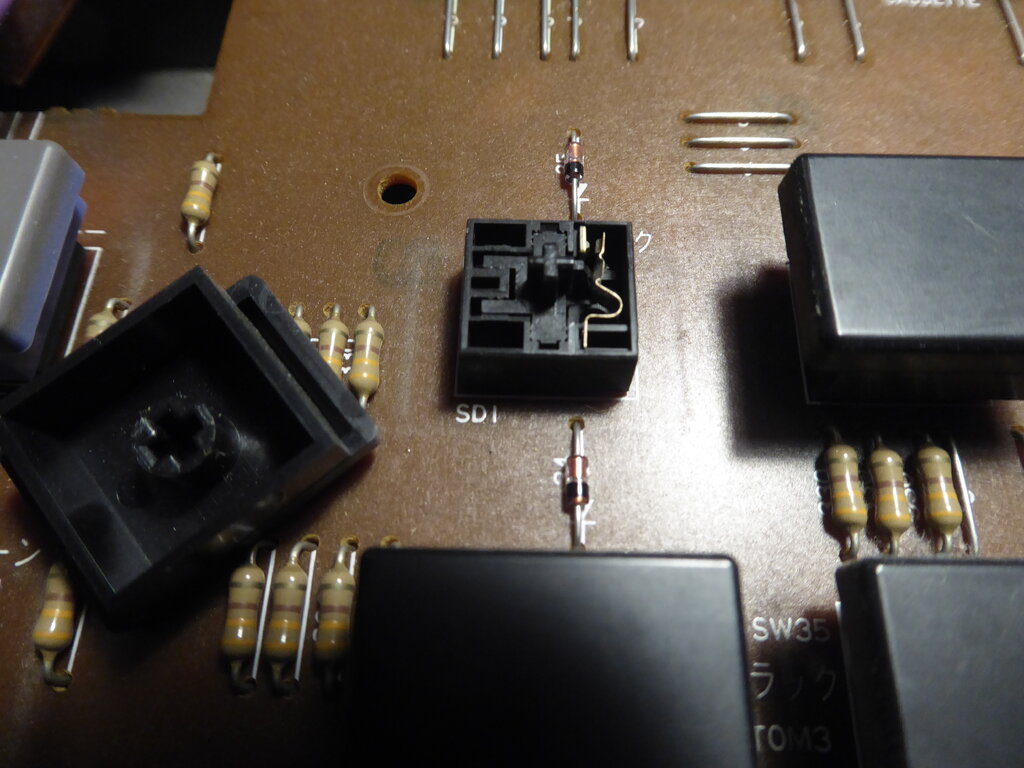 50209902pb.jpg