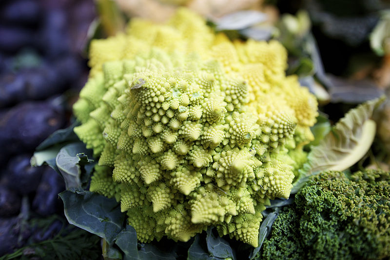 800px-Romanesco_broccoli_%283%29.jpg