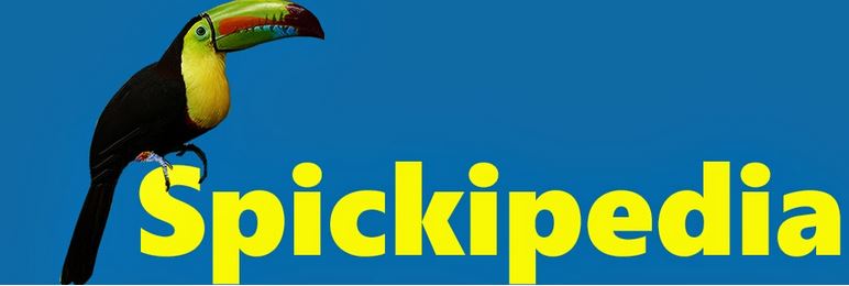 www.spickipedia.com